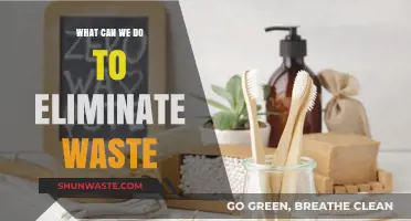 Sustainable Solutions: A Guide to Eliminating Waste in Our Daily Lives