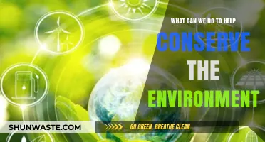 Sustainable Steps: Practical Ways to Protect and Preserve Our Planet