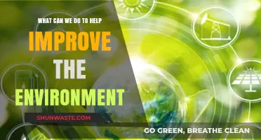 Sustainable Steps: Practical Ways to Protect and Restore Our Environment