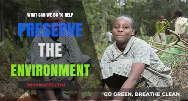 Sustainable Steps: Practical Ways to Protect and Preserve Our Environment