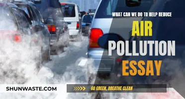 Steps to Reduce Air Pollution and Breathe Better