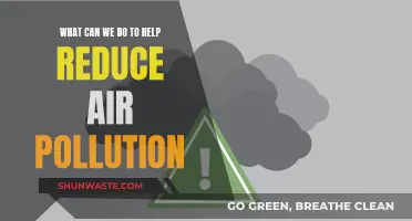 Reducing Air Pollution: Simple Steps for a Cleaner Tomorrow