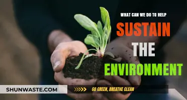 Sustainable Living: Simple Actions to Protect and Preserve Our Planet
