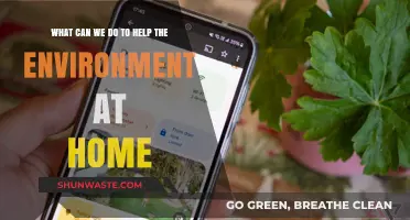 Simple Eco-Friendly Home Habits to Protect Our Planet Daily