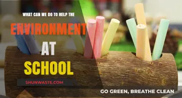 Eco-Friendly School Tips: Simple Ways to Protect Our Planet