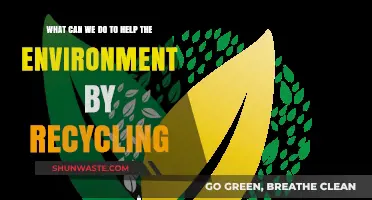 Recycling for a Greener Future: Simple Steps to Protect Our Planet