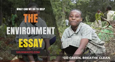 Sustainable Steps: Practical Ways to Protect and Preserve Our Environment