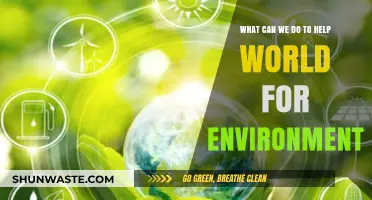 Sustainable Actions: How We Can Protect and Restore Our Environment