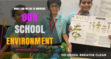 Enhancing Our School Environment: Practical Steps for a Better Learning Space