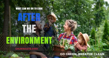 Sustainable Living: Simple Steps to Protect and Preserve Our Planet