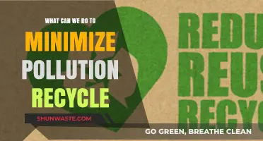 Minimize Pollution: Empowering Change Through Recycling and Sustainable Practices