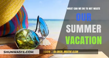 Maximize Your Summer: Tips to Avoid Wasting Your Vacation