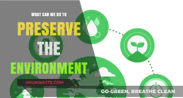 Sustainable Steps: Practical Ways to Protect and Preserve Our Environment