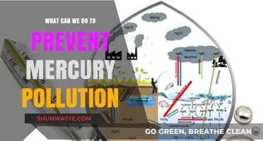 Protecting Our Planet: Effective Strategies to Combat Mercury Pollution