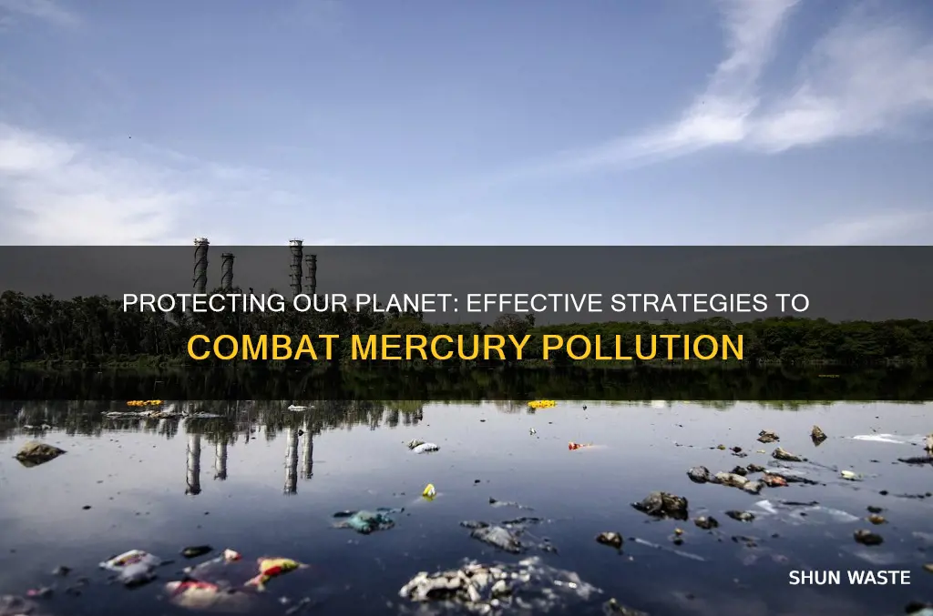 what can we do to prevent mercury pollution