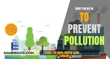 Preventing Pollution: Simple Steps for a Cleaner World