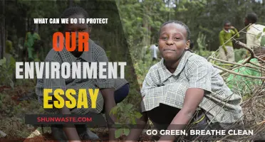 Sustainable Actions: Practical Steps to Safeguard Our Environment Effectively
