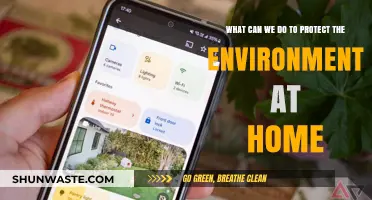 Eco-Friendly Living: Simple Home Habits to Protect Our Planet