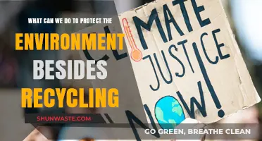 Beyond Recycling: Practical Steps to Safeguard Our Environment Effectively