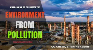 Sustainable Actions: How We Can Combat Pollution and Protect Our Environment