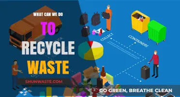 Sustainable Solutions: Effective Ways to Recycle Waste