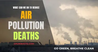 Reducing Air Pollution Fatalities: Strategies for a Healthier Future