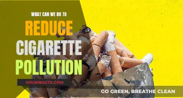 Reducing Cigarette Pollution: Practical Steps for a Healthier Environment