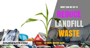 Sustainable Solutions: How to Minimize Landfill Waste Effectively