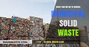 Sustainable Solutions: Reducing Municipal Solid Waste for a Greener Future