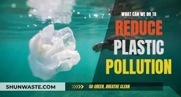 Reducing Plastic Pollution: Practical Steps for a Greener Tomorrow