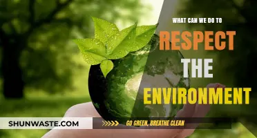 Sustainable Living: Simple Actions to Honor and Protect Our Environment