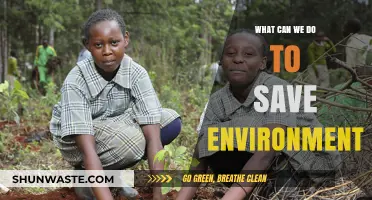 Sustainable Actions: Practical Steps to Protect and Preserve Our Environment