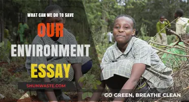 Sustainable Steps: Practical Actions to Protect and Preserve Our Environment