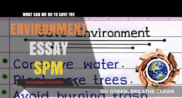 Practical Steps to Protect Our Environment: SPM Essay Guide
