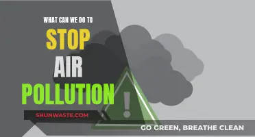 Let's Clear the Air: Strategies to Reduce Air Pollution