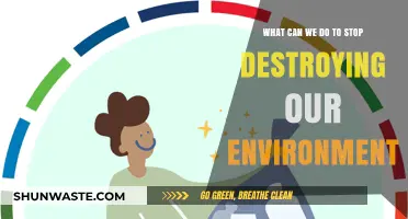 Sustainable Actions: How We Can Protect and Preserve Our Environment