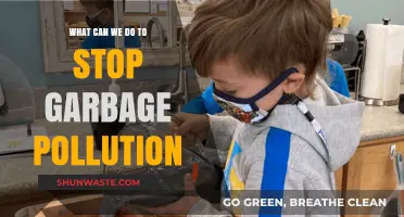 Waste Not, Want Not: Strategies to Beat Garbage Pollution