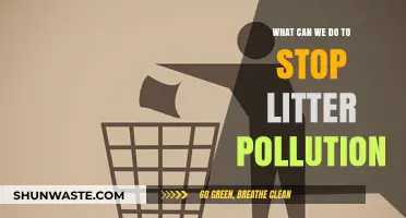 Littering: A Global Problem, A Collective Responsibility: Our Action Plan