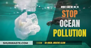 Ocean Pollution: Actionable Steps to Make a Difference