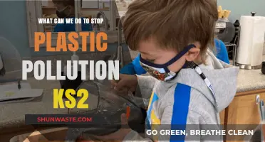 Beat Plastic Pollution: Empowering Kids to Make a Difference