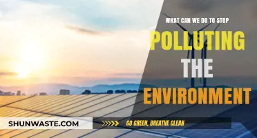 Sustainable Solutions: Protecting Our Planet from Pollution