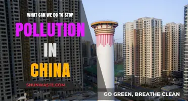 China's Pollution Crisis: Strategies for a Greener Future