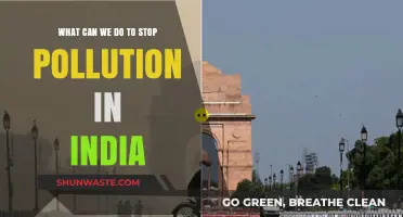 India's Fight Against Pollution: Effective Strategies for a Greener Future