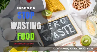 Combating Food Waste: Practical Steps for a Sustainable Future