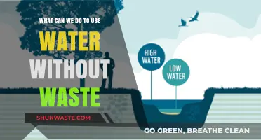Sustainable Water Usage: Tips to Reduce Waste and Conserve