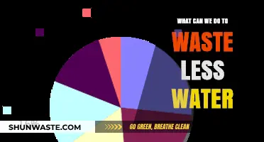 Conserve Every Drop: Practical Tips to Reduce Water Waste