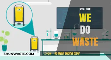 Sustainable Solutions: What We Can Do with Waste