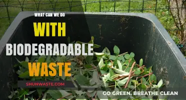 Eco-Friendly Solutions: Transforming Biodegradable Waste into Valuable Resources