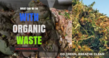 Transforming Organic Waste: Innovative Solutions for a Sustainable Future