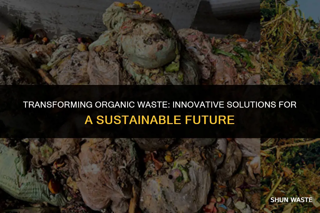what can we do with organic waste